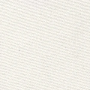 Satin Canvas Texture Sample