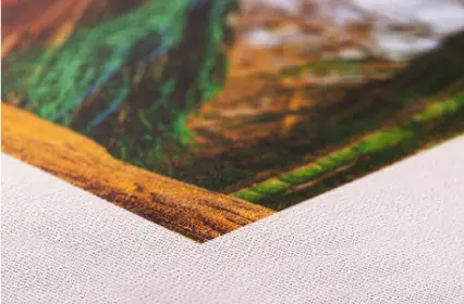 hp-s-canvas-prints