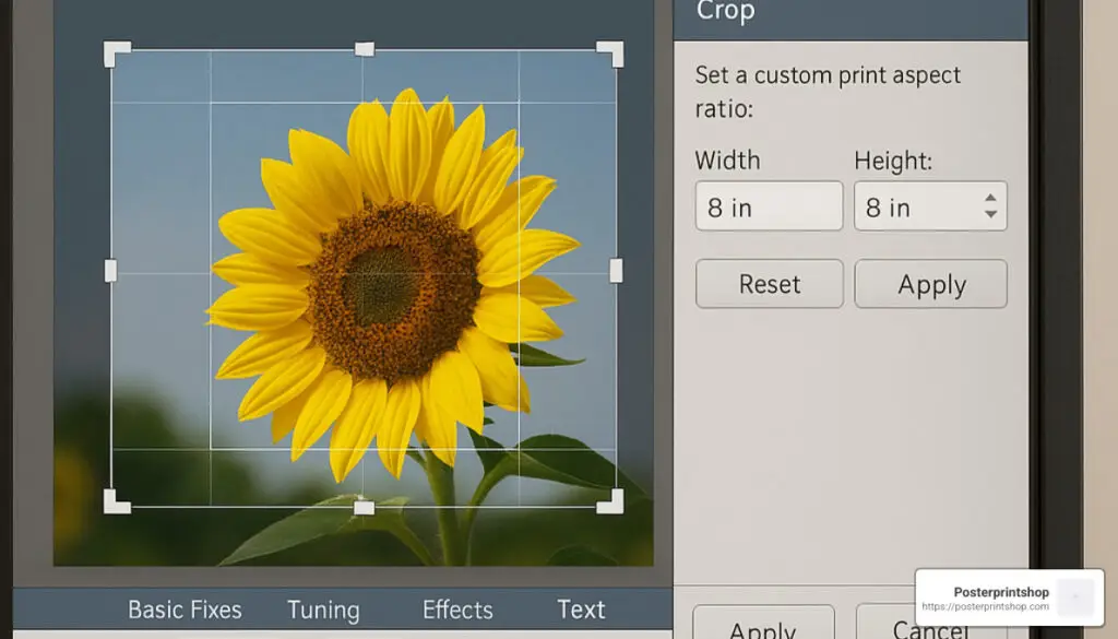 how to print custom sized photo in picasa 3